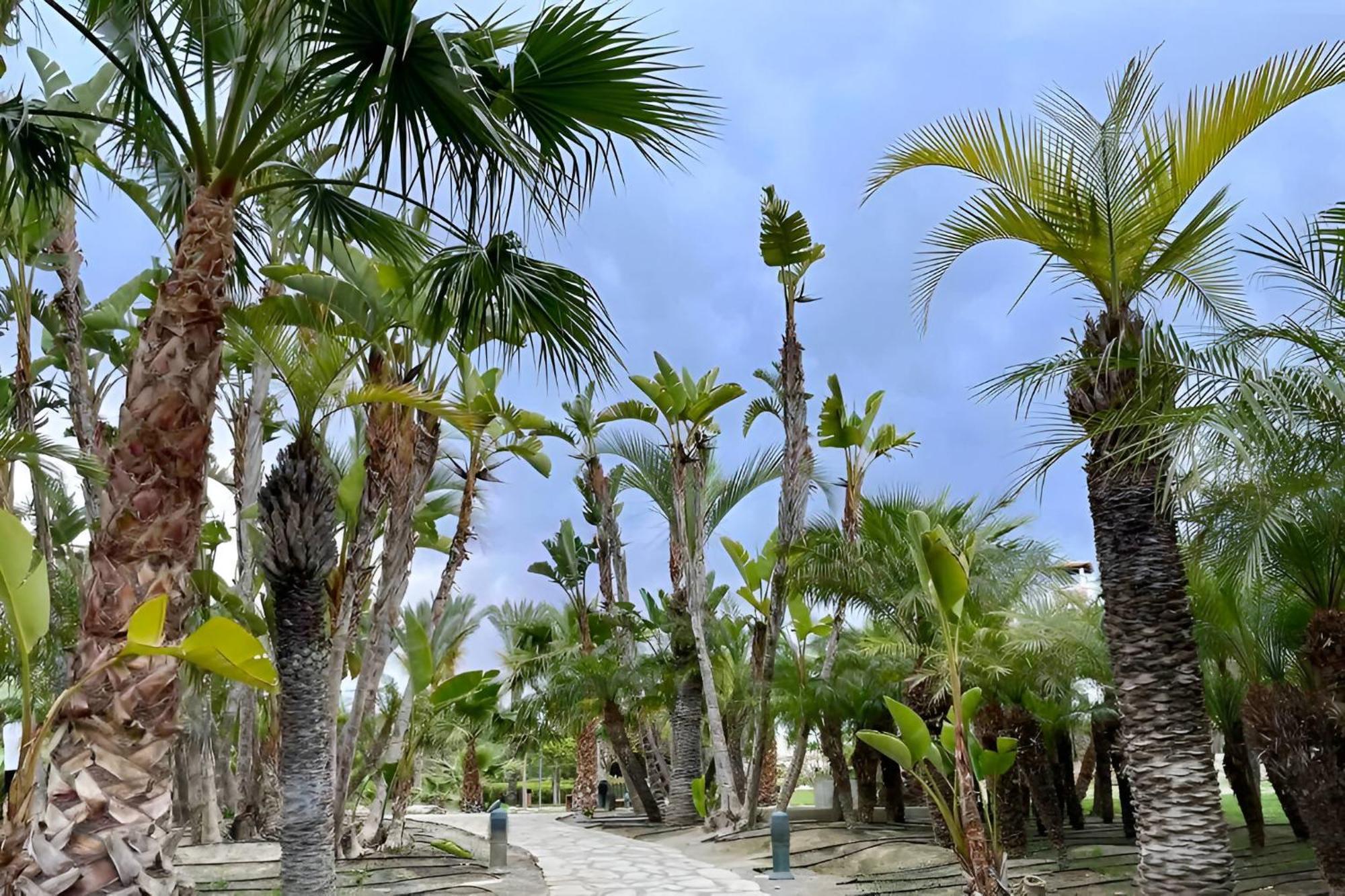Hestia Vera Salinas Tu Hogar Para Desconectar Playas de Vera Exterior photo